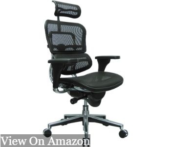 Ergohuman office chair