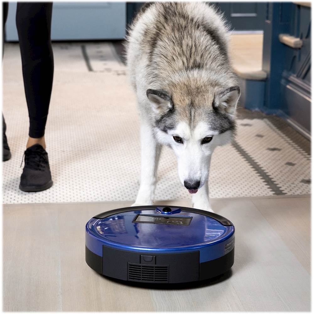 Best Robot Vacuums For Husky Hair 2024 Rated