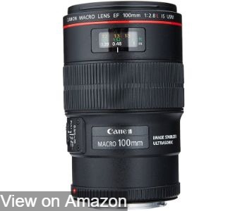 Canon EF 100mm f2.8L IS USM