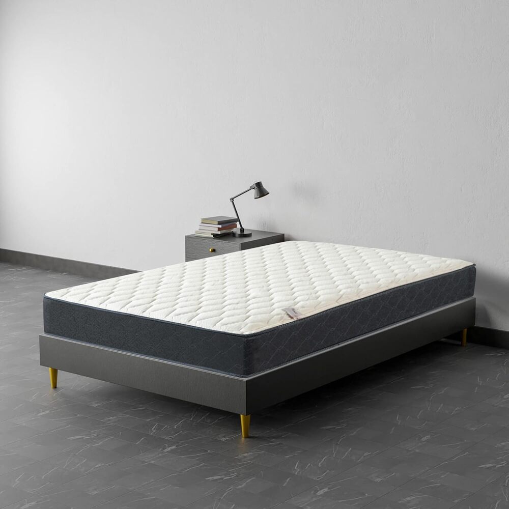 Mayton Medium Firm 9 Inch Queen Firm Hybrid Mattress for back pain