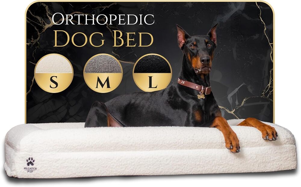 Luxury Boucle Fabric Orthopedic Large Dog Bed, Open cell foam, solid memory foam.