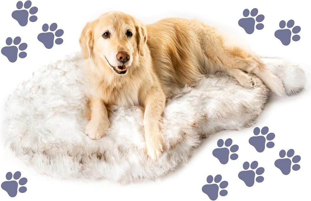 PupRug Orthopedic Dog Bed, Easy return policy, zero chemical off gas, easy to remove zip cover.